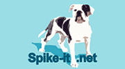 Spike-IT EDV-Dienstleistungen